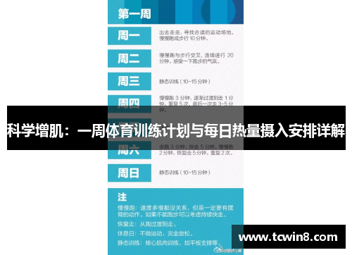 科学增肌：一周体育训练计划与每日热量摄入安排详解
